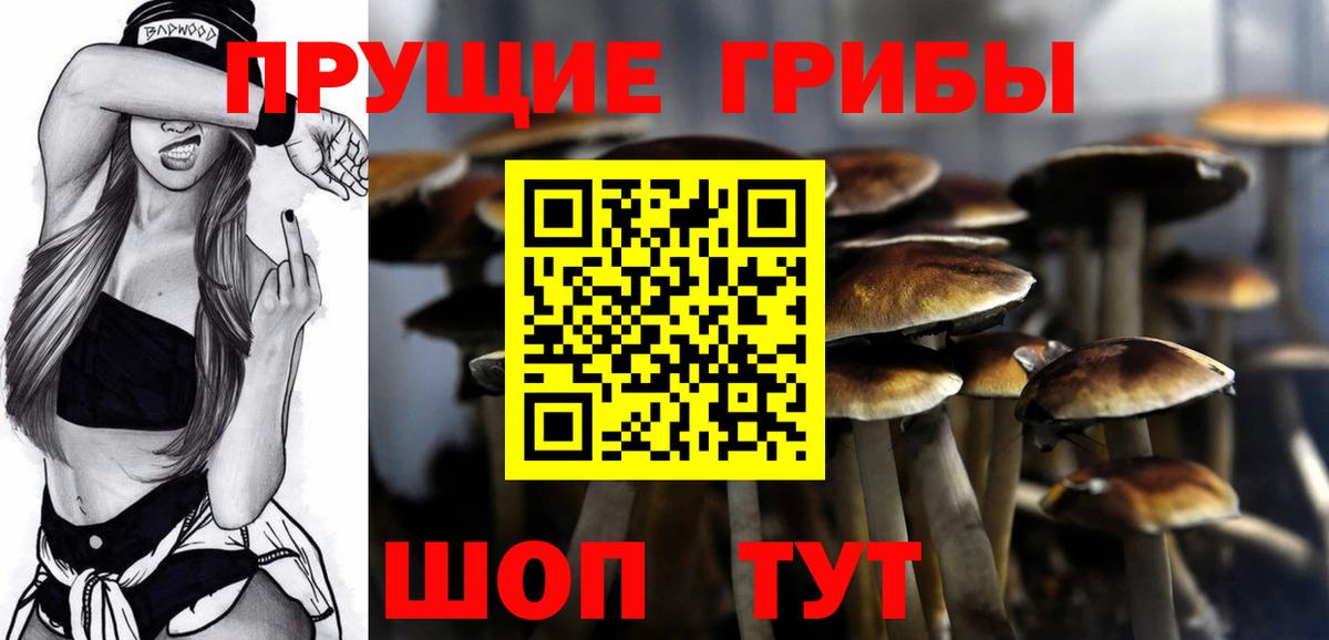 Псилоцибиновые грибы ЛСД  Вход с VPN  Ярцево 